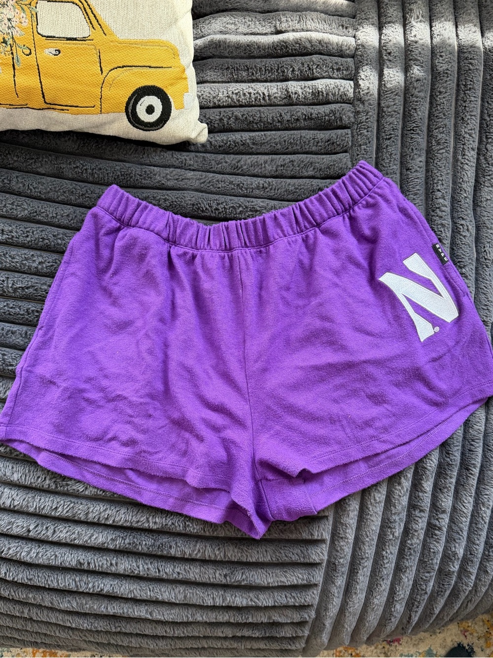 Northwestern Shorts